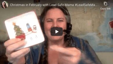 leadsafemama